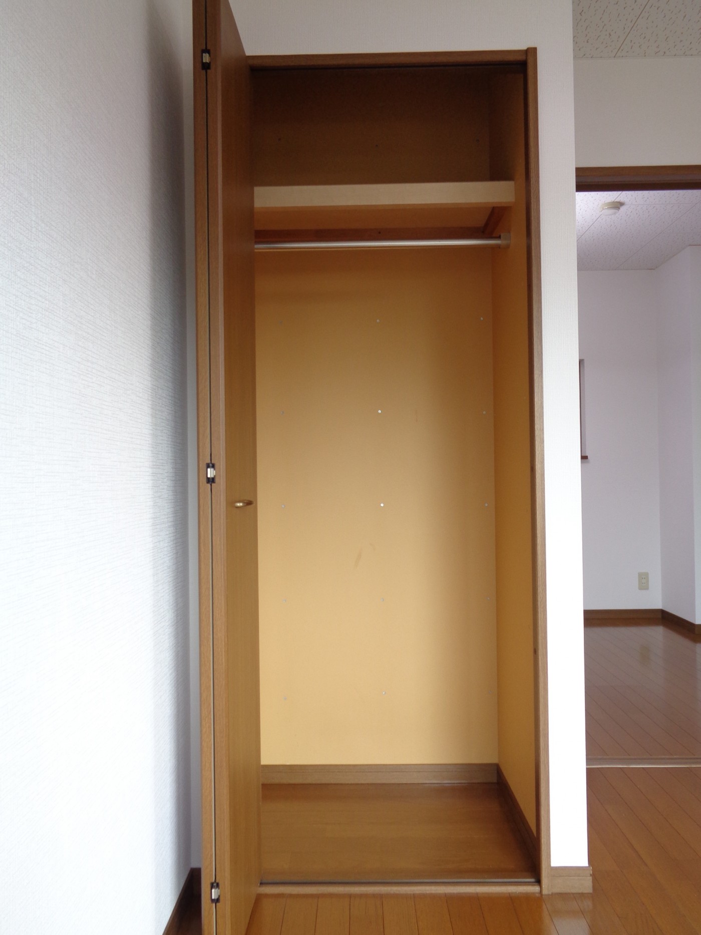 収納（洋室5帖）