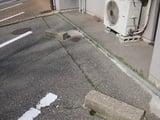 融雪装置